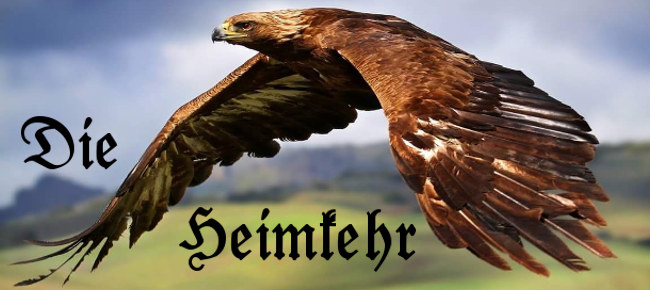 Steinadler Drittes Logo 650x290px