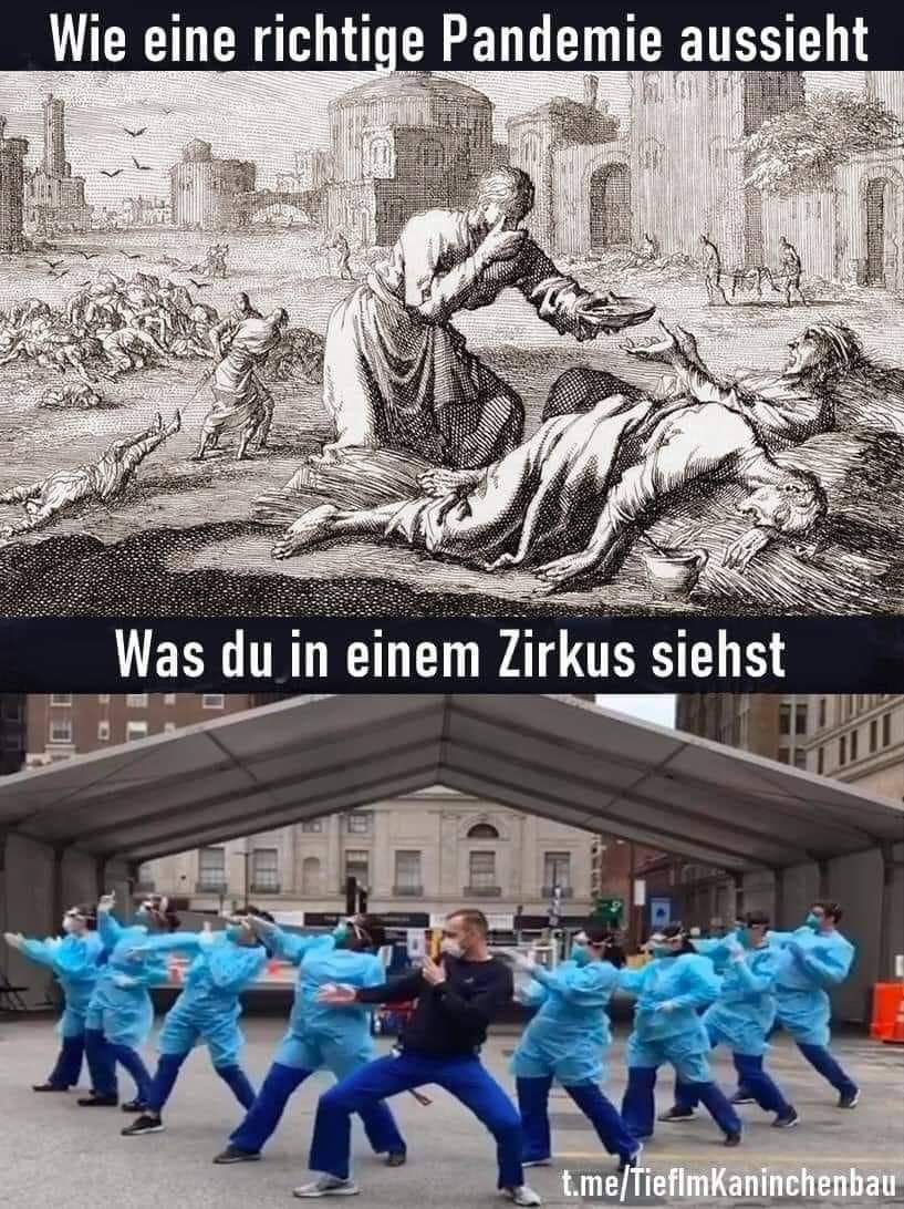 Pandemie_Corona-Zirkus.jpg